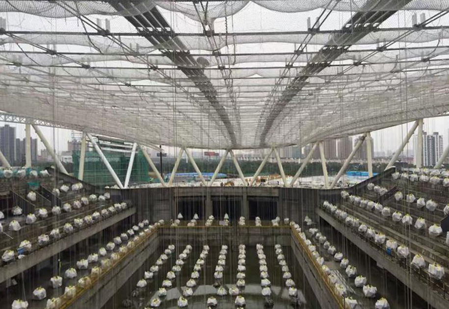 横向钢索安装完成